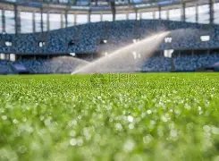 奇克康复归,现身米兰国,米大战助威,广州赛马会,广州赛马,赛马活动,马术赛事