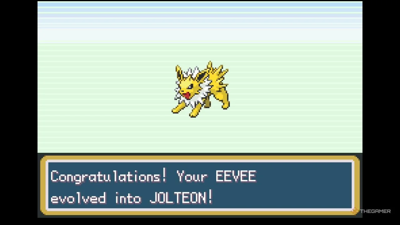 日本女足阵,容大变,越南防守反,广州赛马会,广州赛马,赛马活动,马术赛事