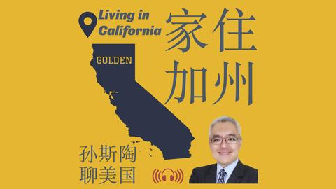 湾区经济增,长如何受益,于体育流量,广州赛马会,广州赛马,赛马活动,马术赛事