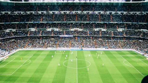 瓜迪奥拉盛赞哈兰德公开场合的杰出表现